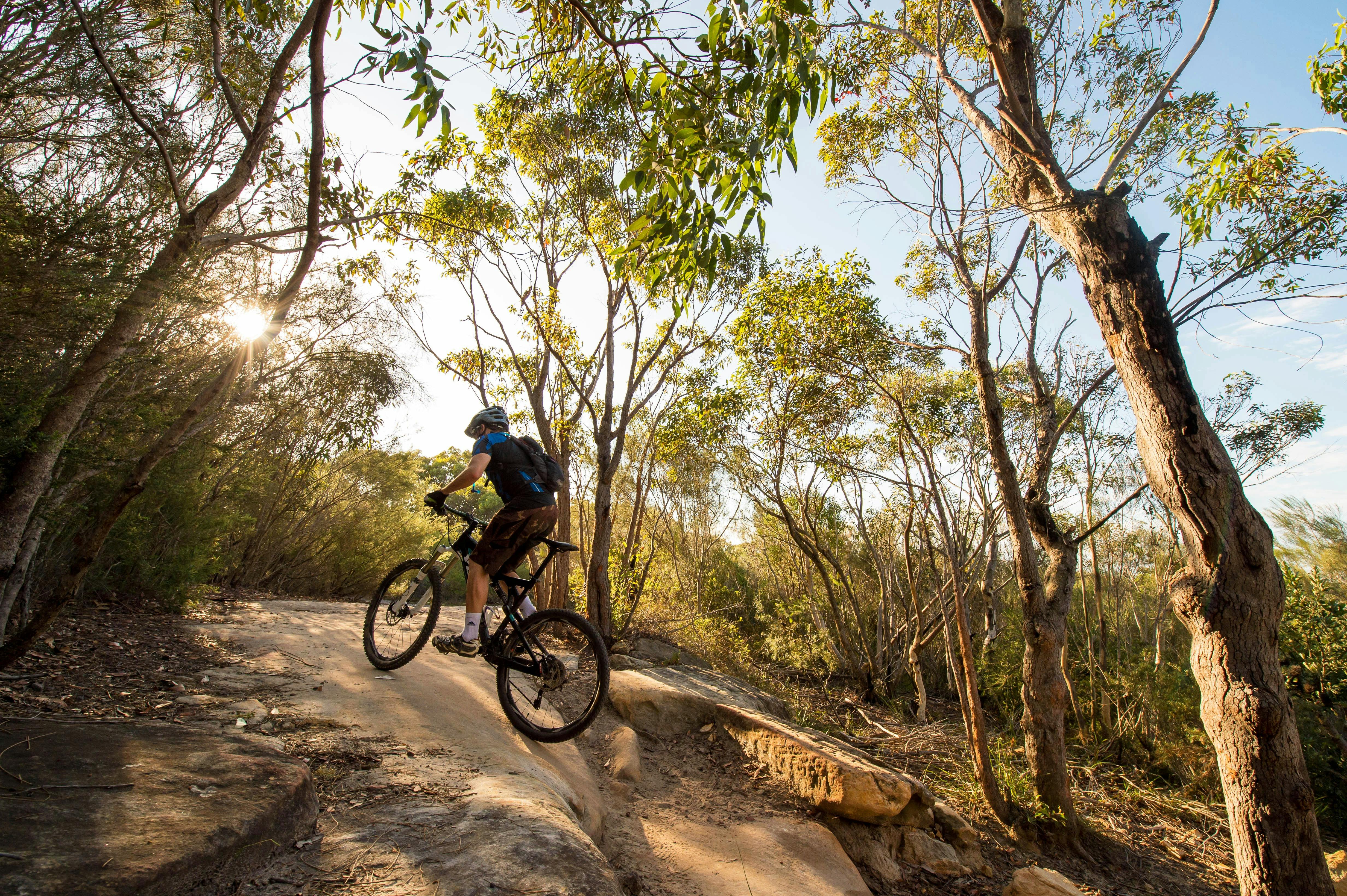 manly dam mtb