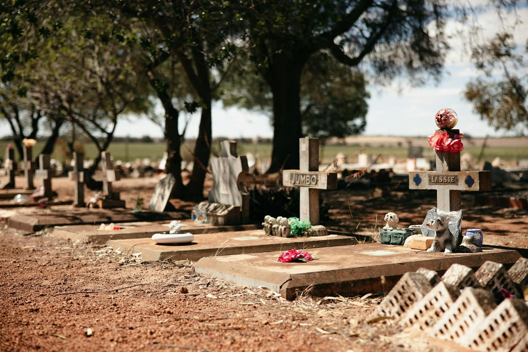 Corrigin Dog Cemetery