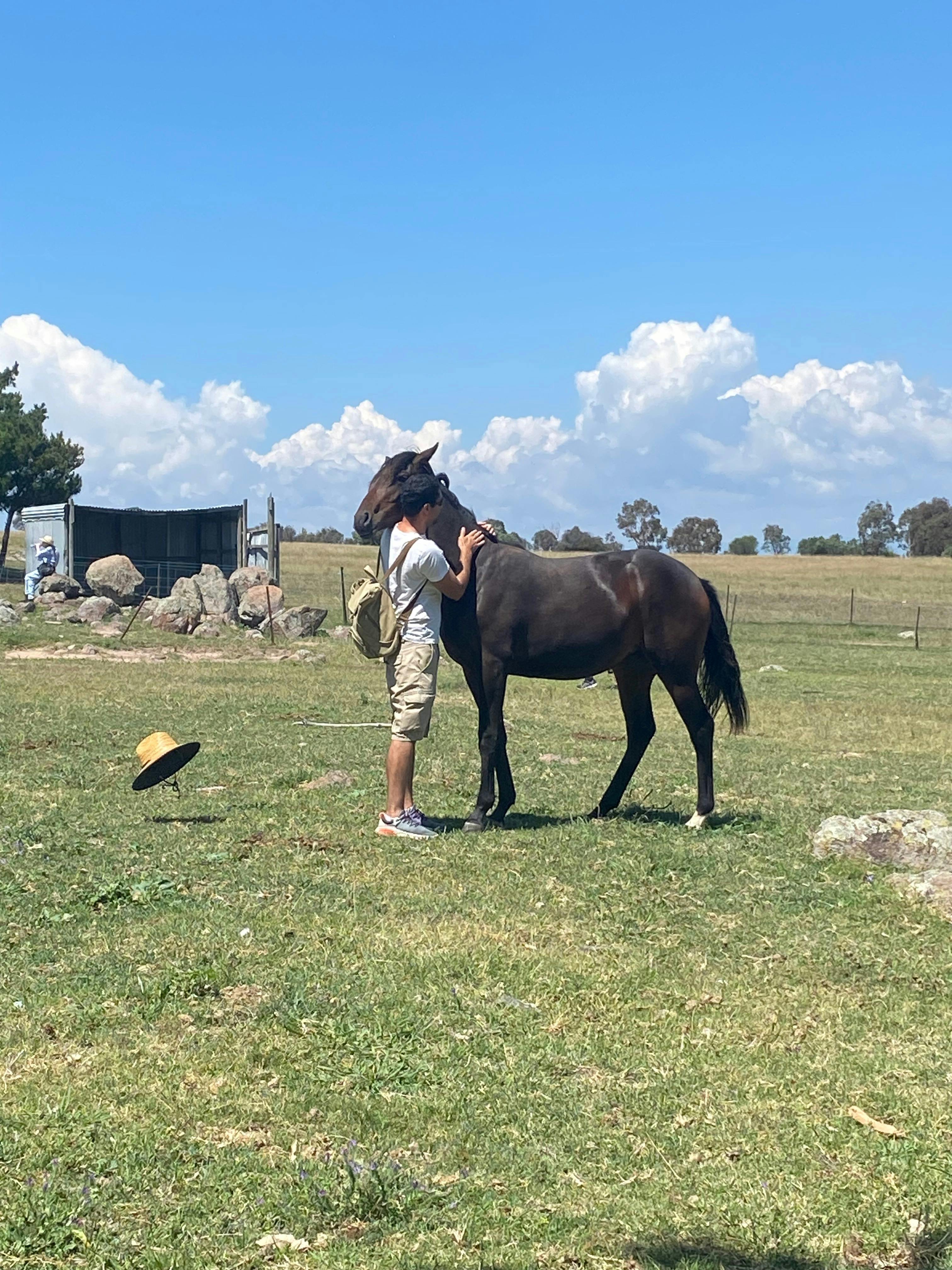 Babylon Farm
