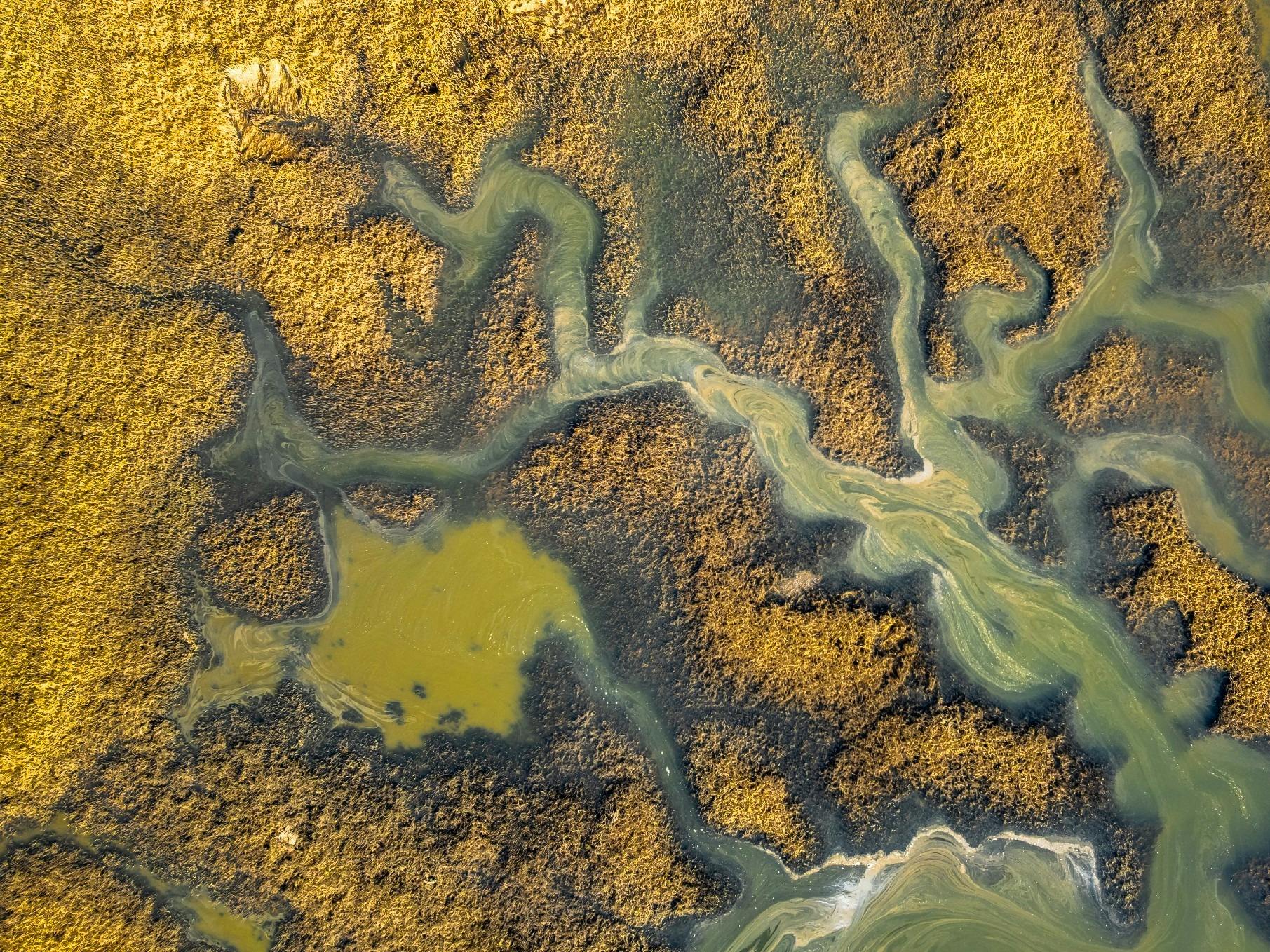 Rubicon River Tasmania drone shot