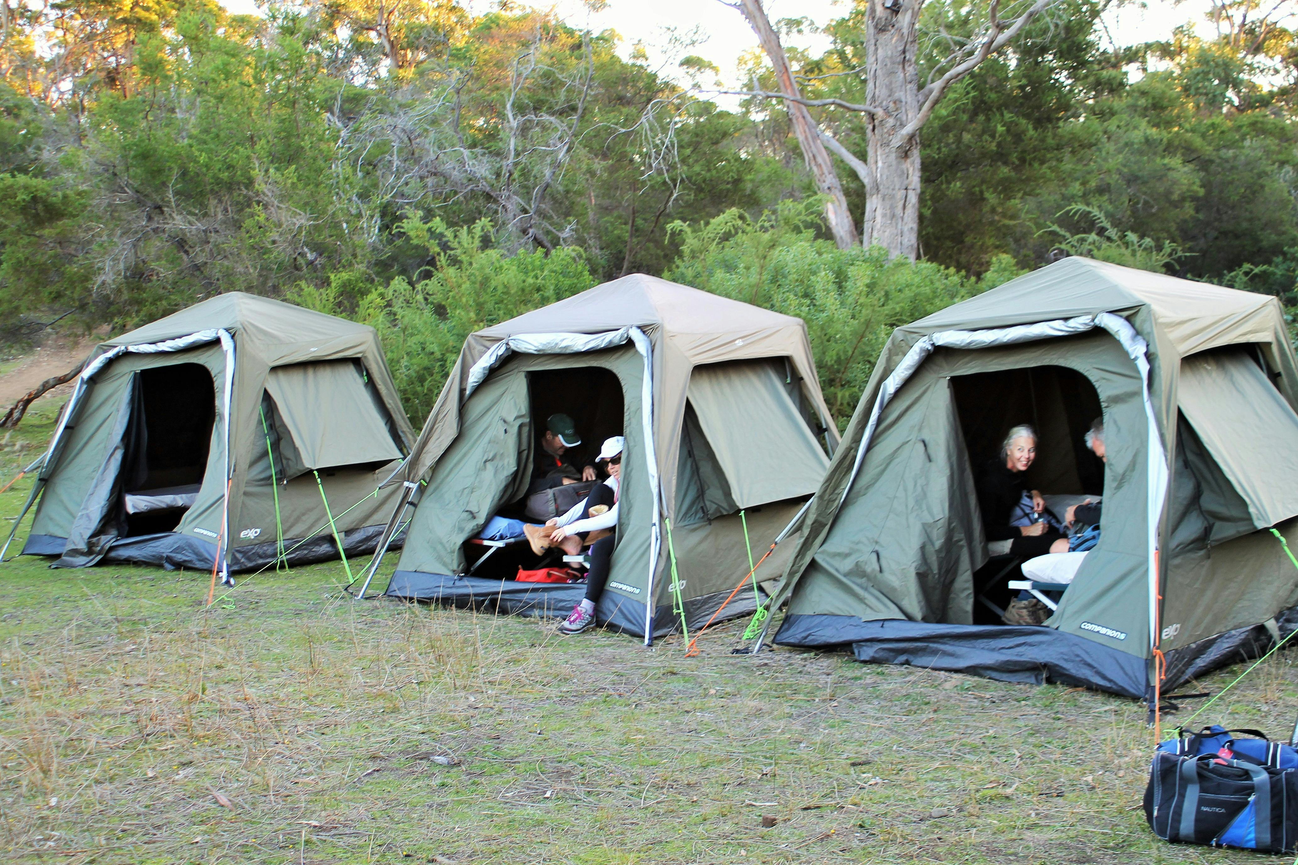 Encampment Cove off the ground tents on the Maria Island Pack-Free Walk by Life's An Adventure