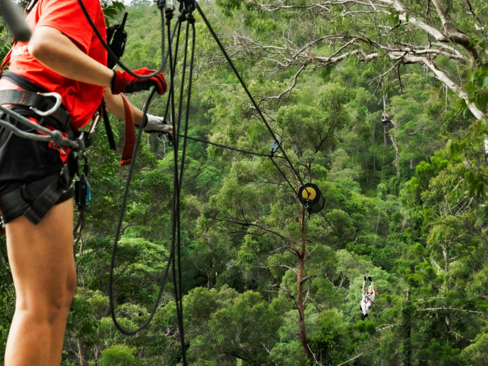 Take in epic views and create unique memories as you cross the gorgeous Cedar Creek gorge.