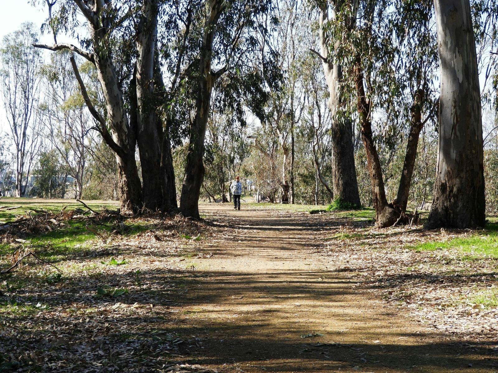 ゴーマンパークの散歩道