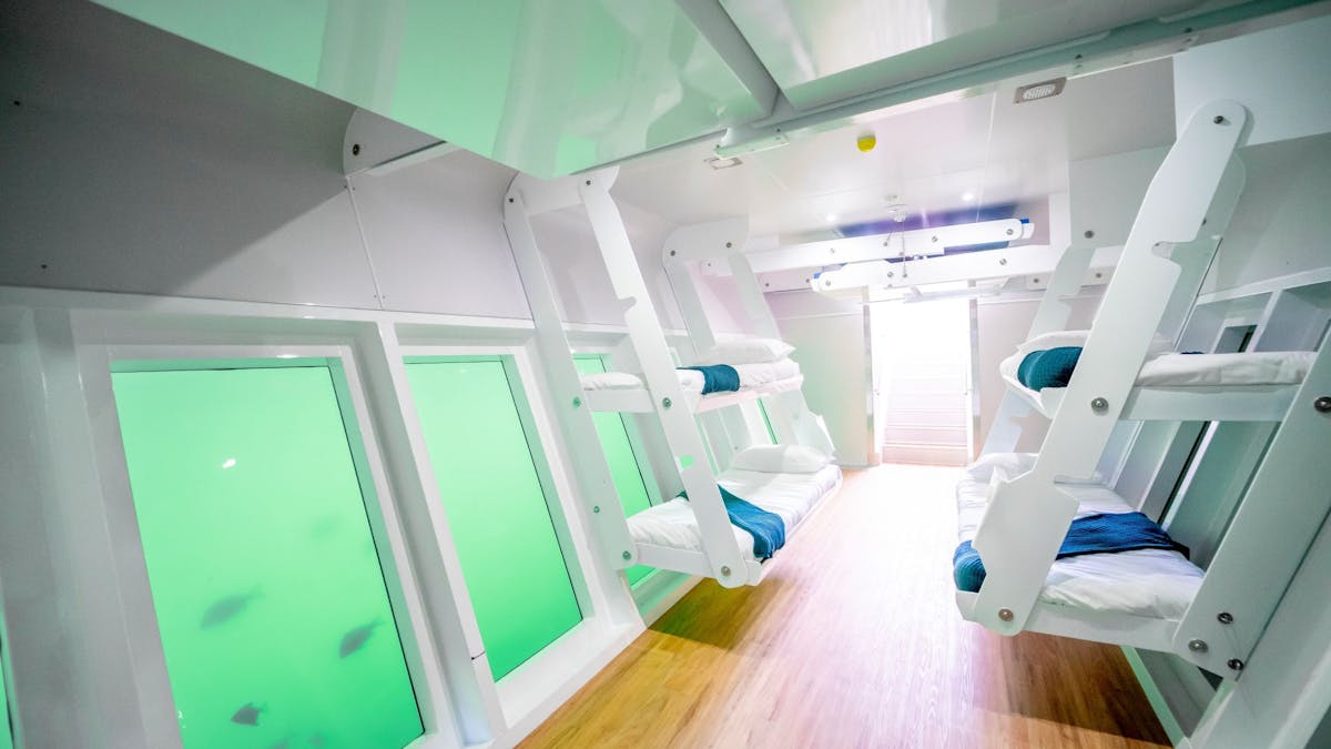 Underwater Observatory Lady Musgrave HQ