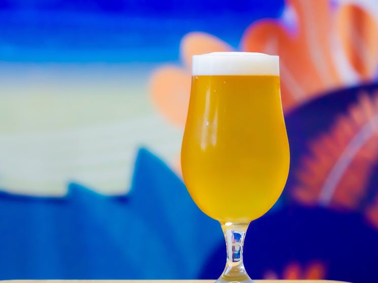 An image of a Back Beach White Ale in a glass, taken at Common People Brewing Co
