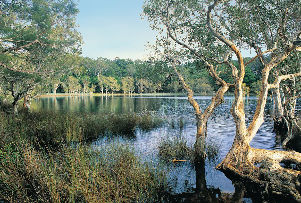 Cooloola Recreation Area Camping, Great Sandy National Park