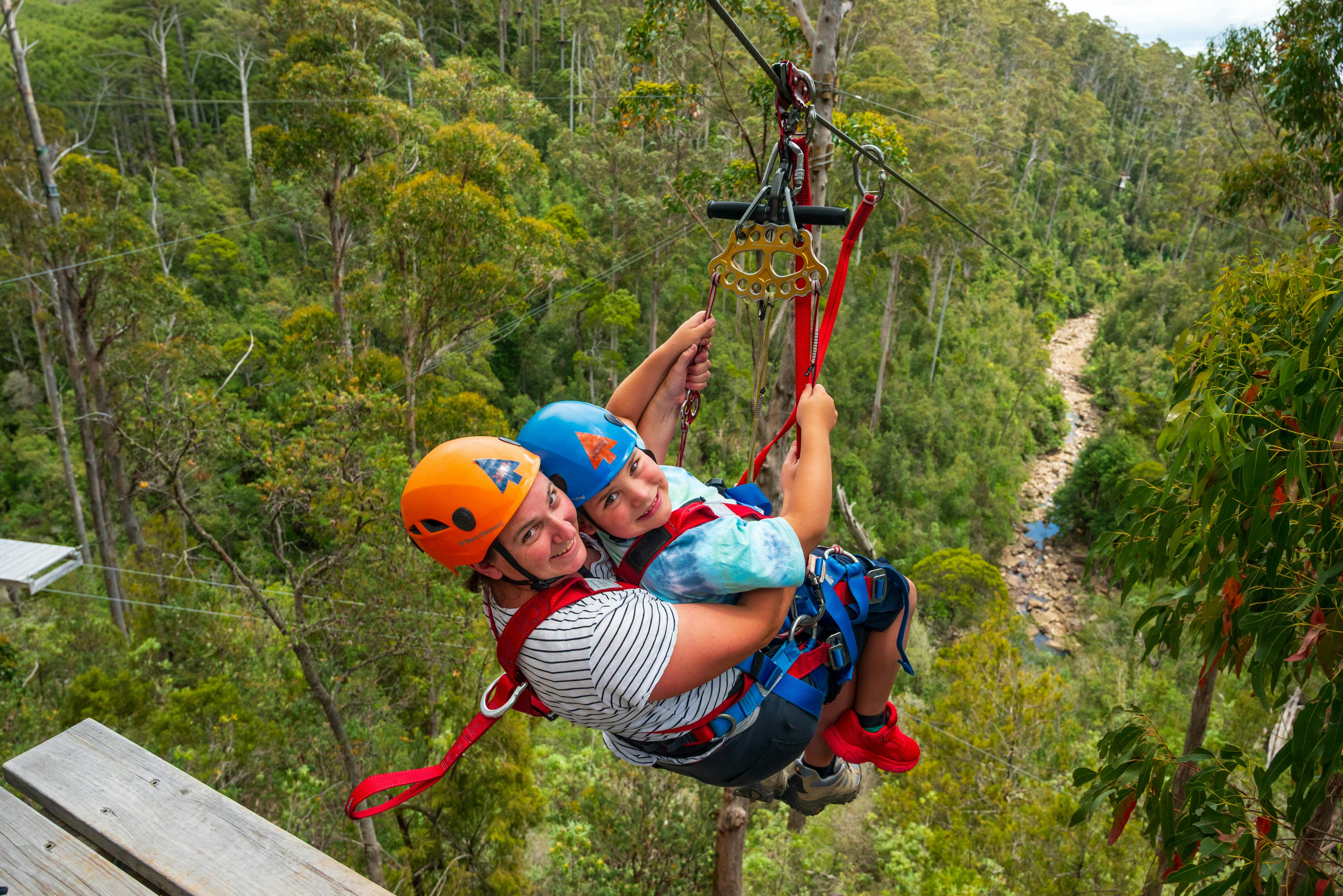 Treetops Hollybank Zipline Tour Family Adventure