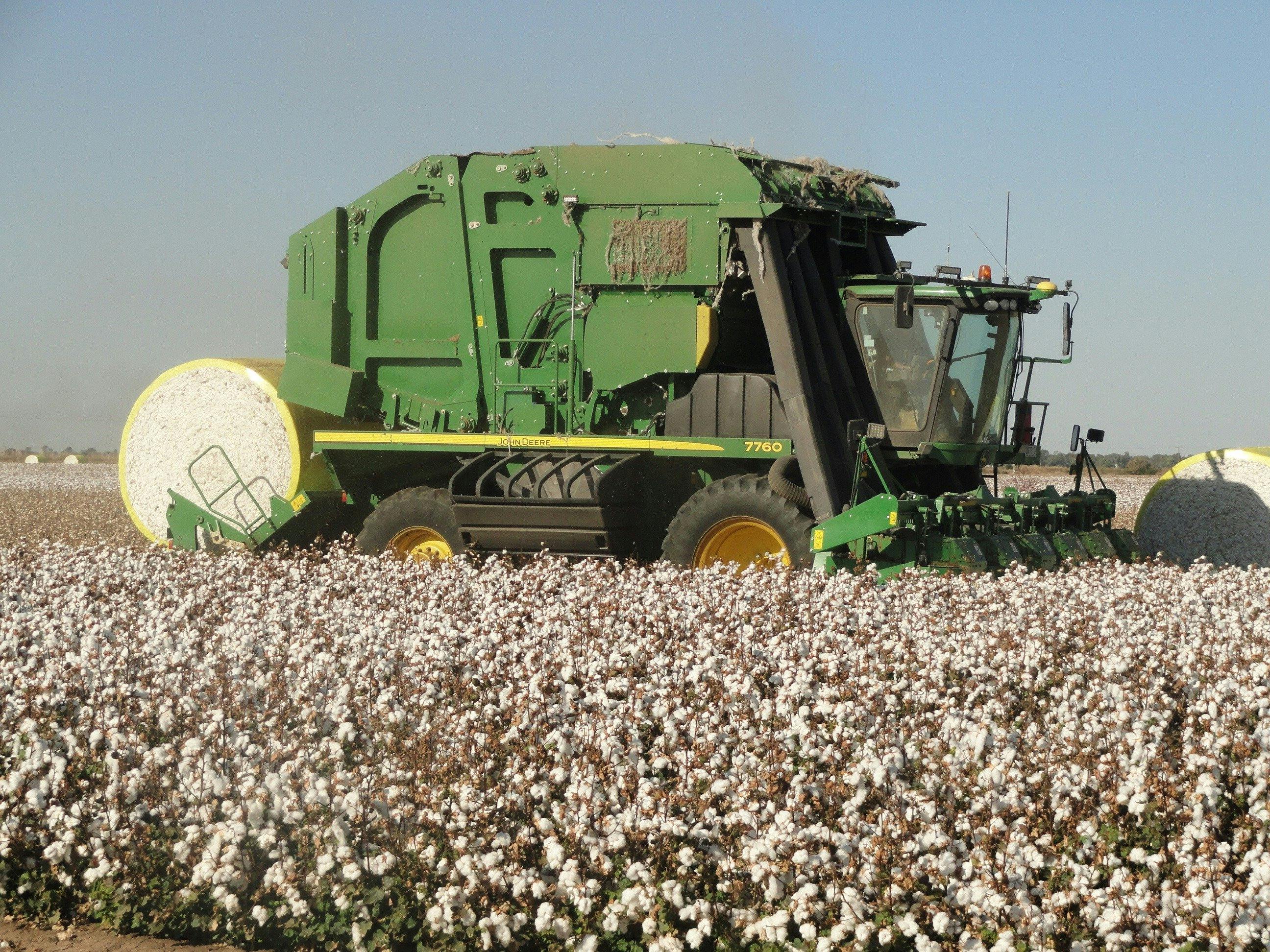 Tours of Griffith and the  Murrumbidgee Irrigation Area