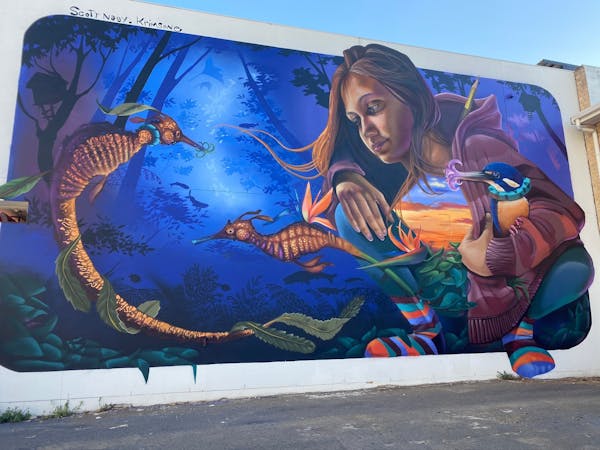 Walk The Walls Cronulla Street Art Trail