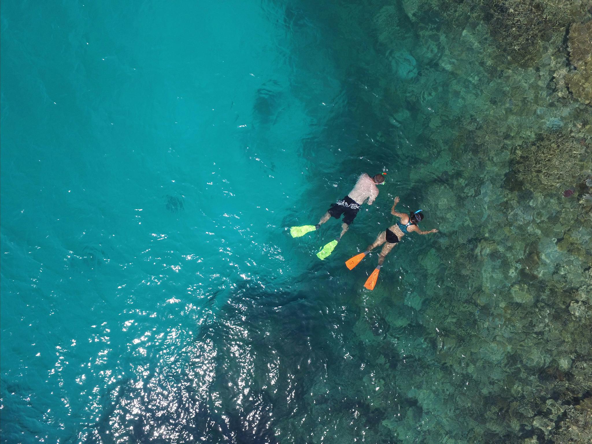Snorkeling at Lady Musgrave Island