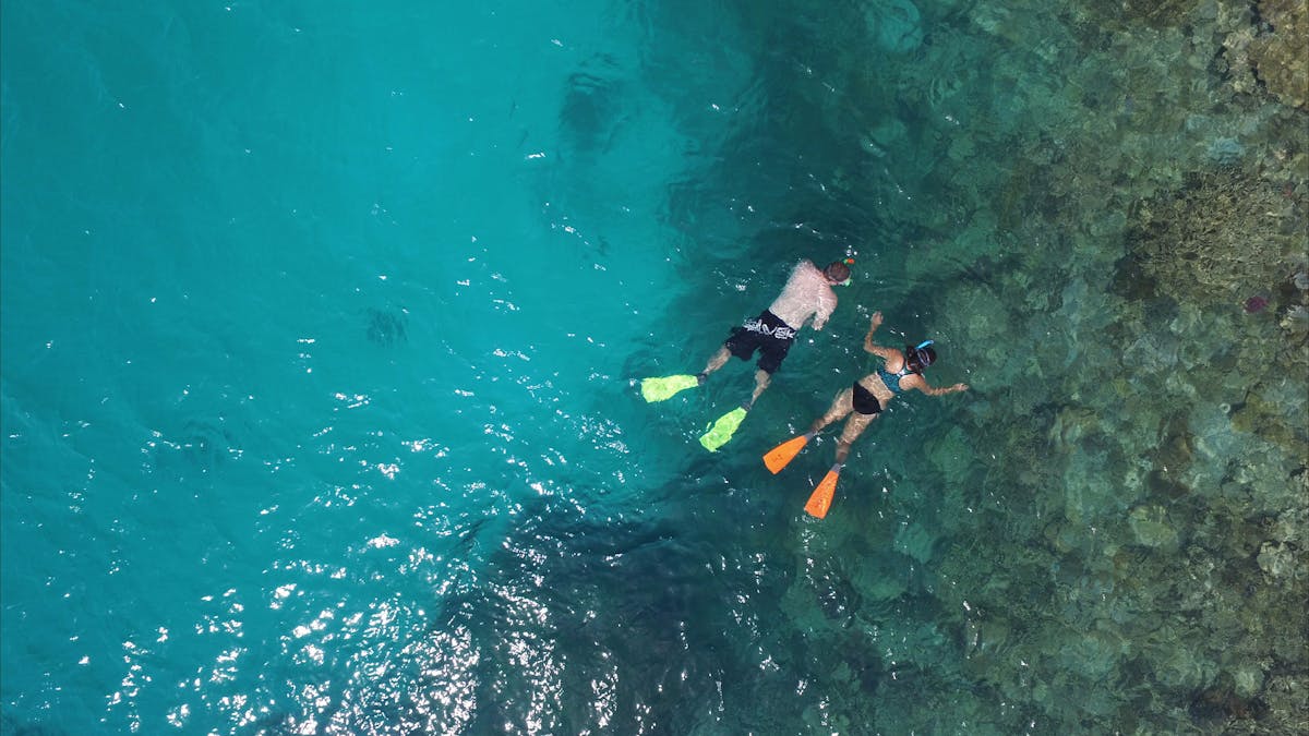 Snorkeling at Lady Musgrave Island