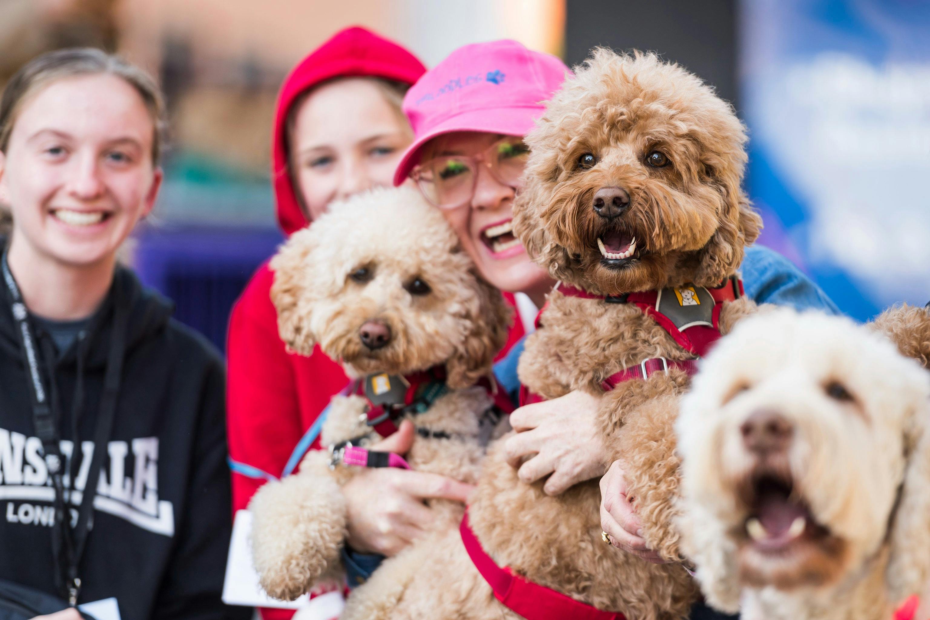 Dog Lovers Festival Melbourne