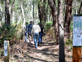 Honan Mint Walking Trail