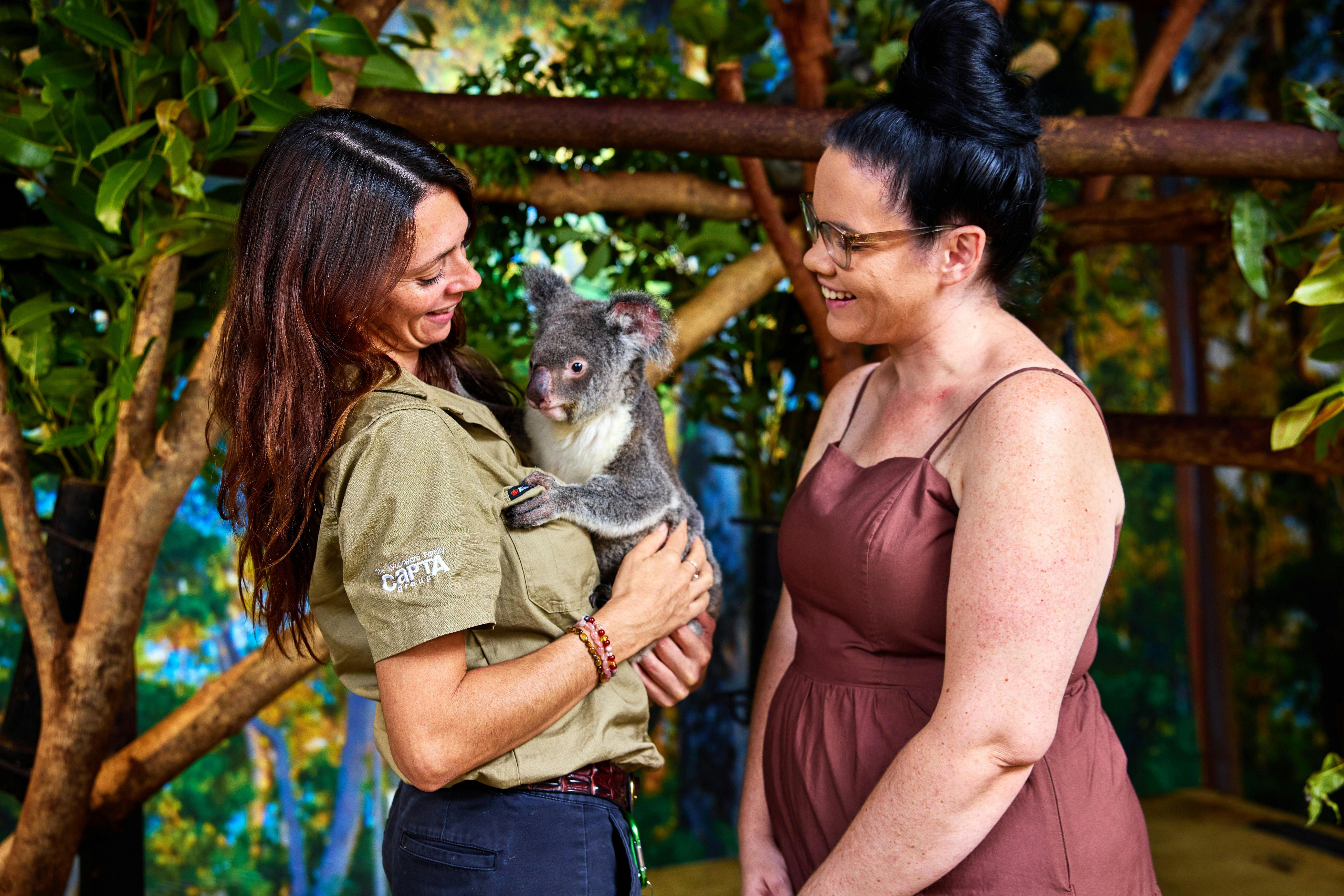 Cairns Koalas & Creatures and City Sights