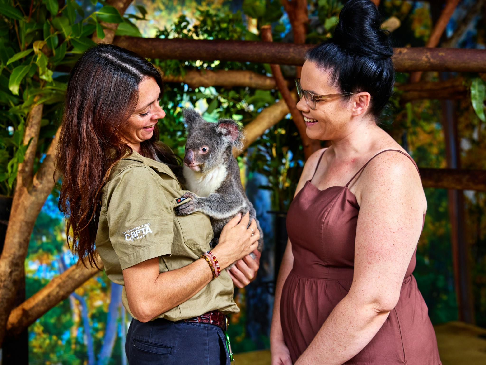 A wildlife keeper introducing a koala to guest. A wildlife keeper introducing a koala to guest.
