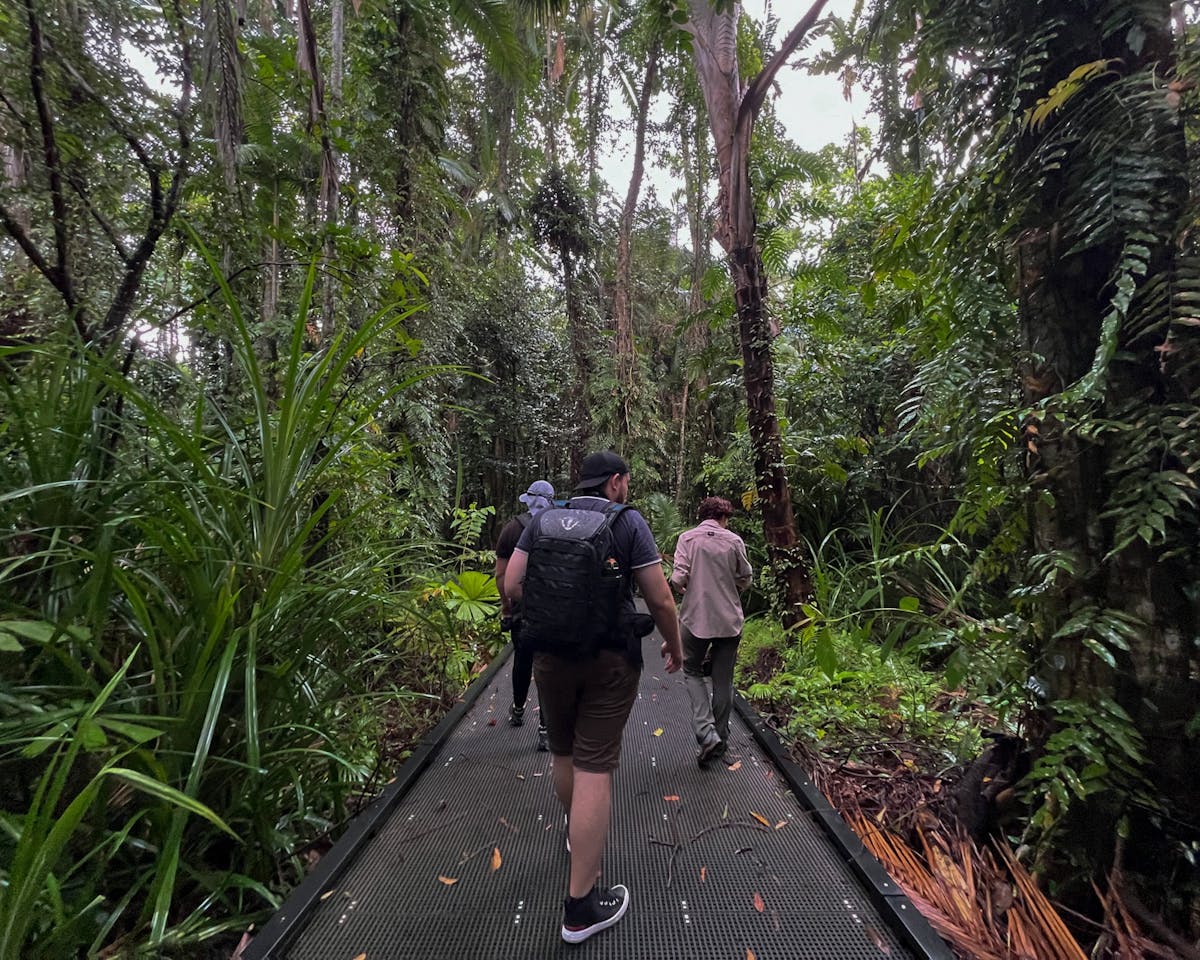 Photographers walking through the rainforest boardwalk of the Cairns Botanic Gardens