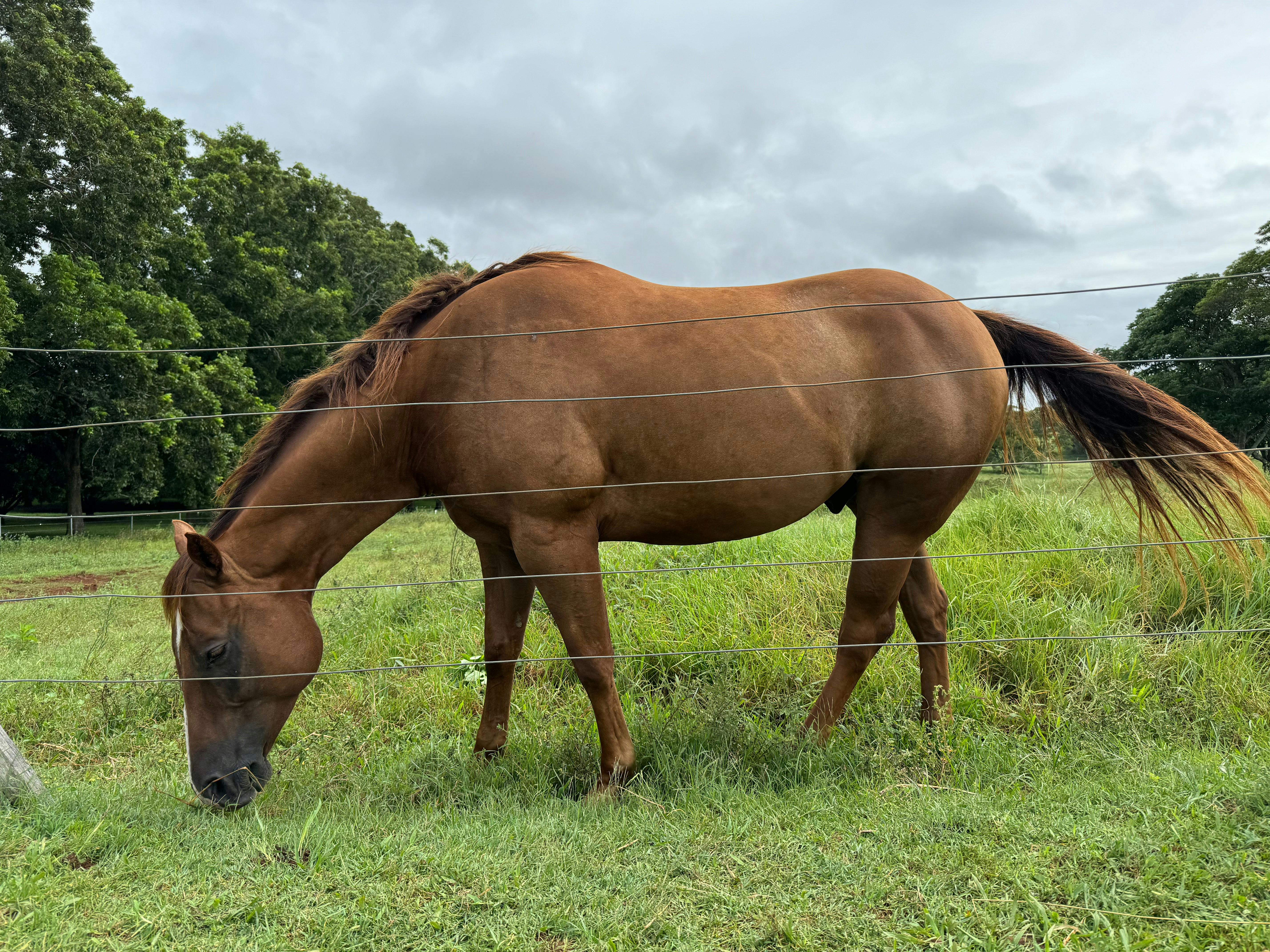 Byron Bay Ultimate Day Tour: Lighthouse Sunset, The Farm & Hidden Trails