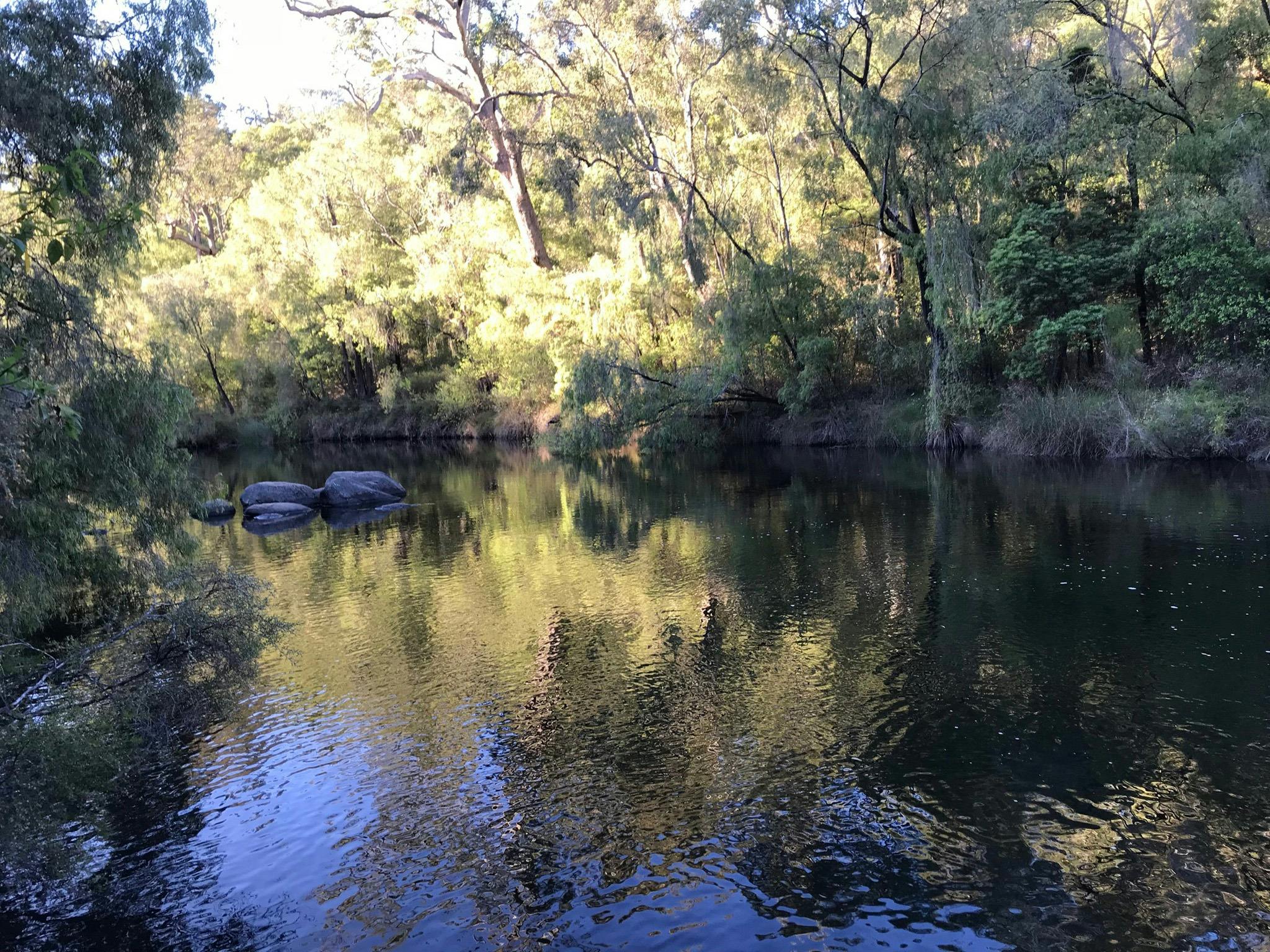 Kiosk at the Dam, Worsley, Western Australia