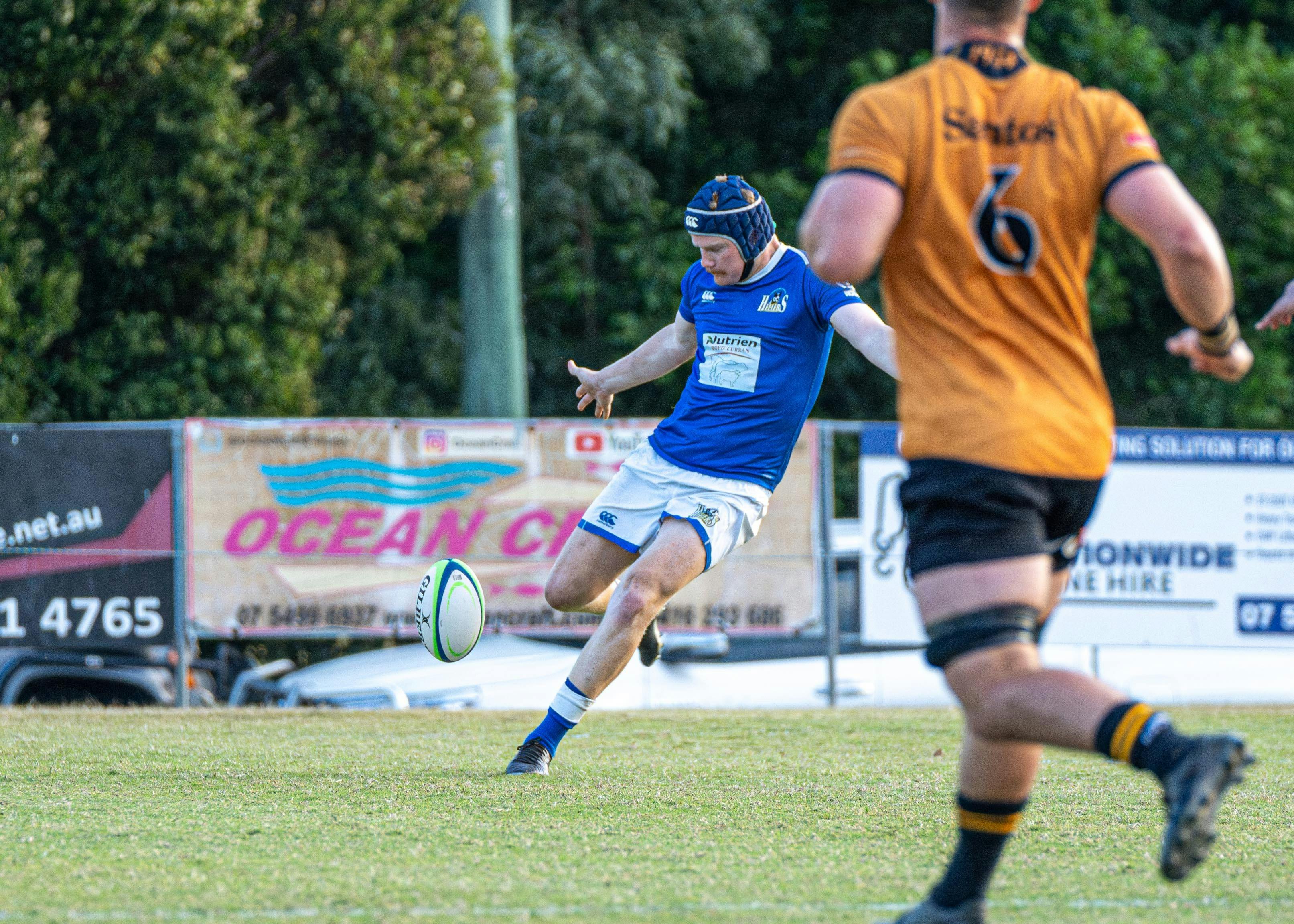 QLDC v NSWC 2024