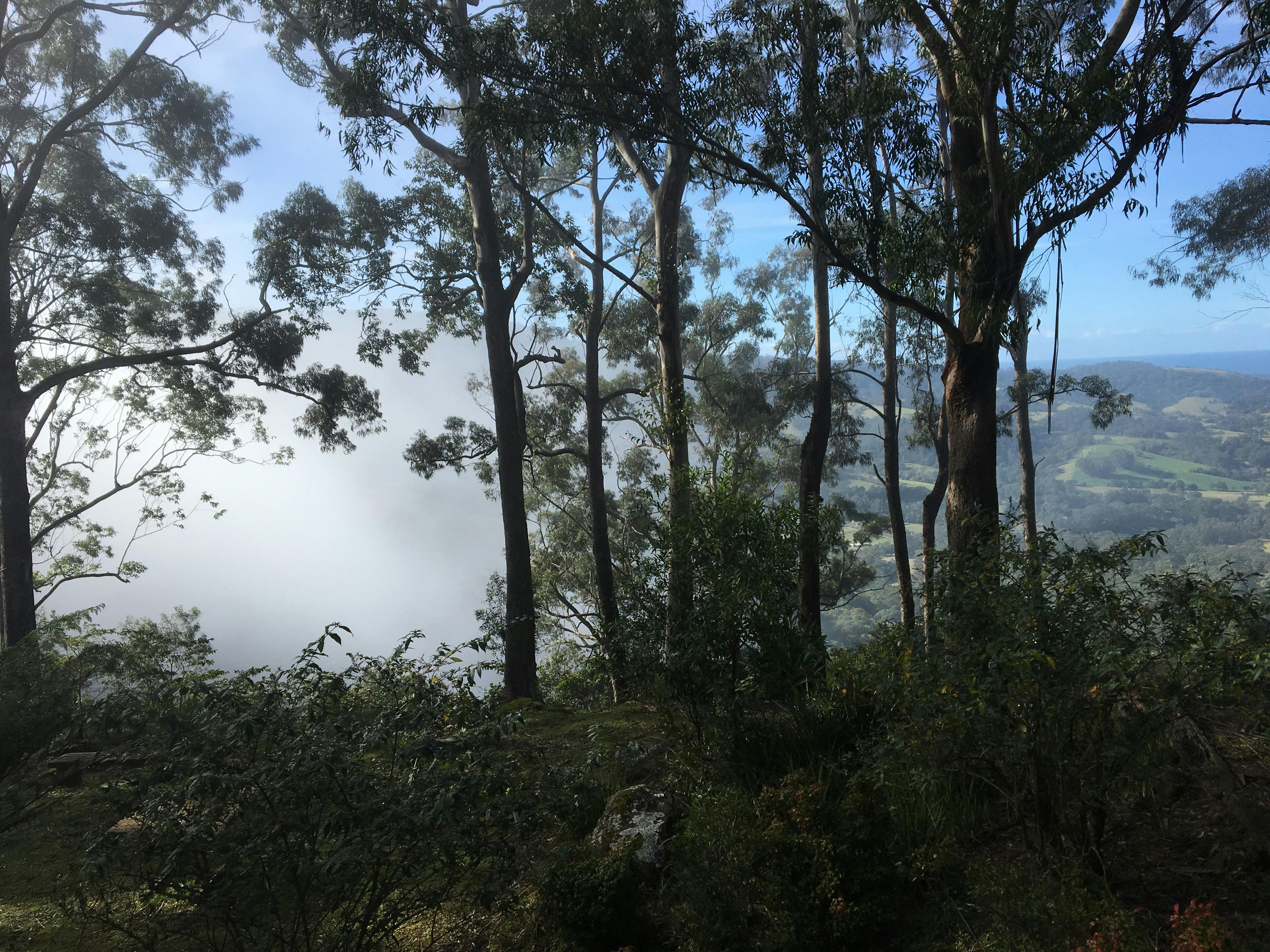 Escarpment - Bush to Beach Views