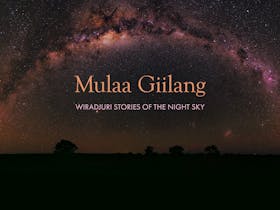 Mulaa Giilang: Wiradjuri stories of the night sky Cover Image