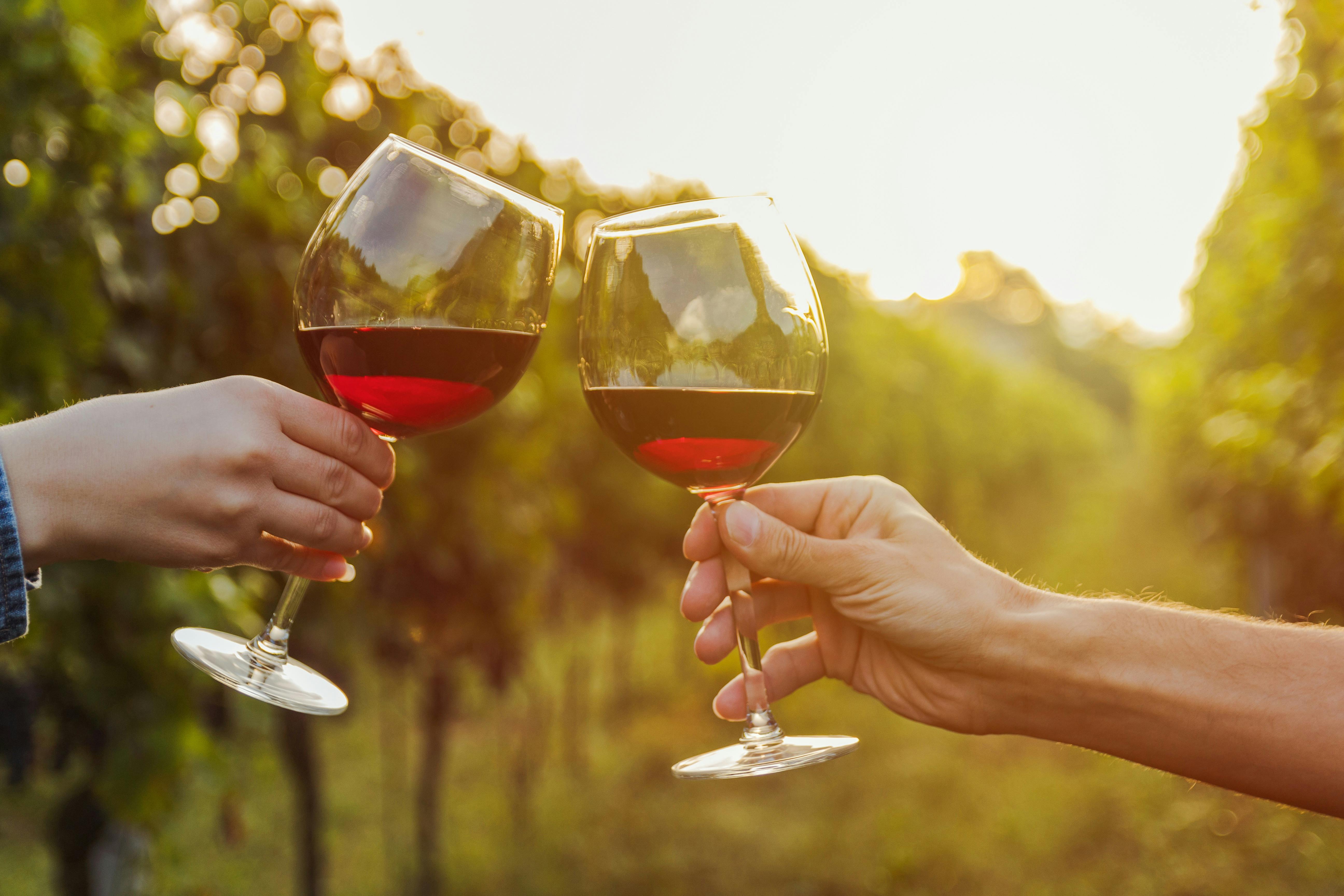 Two glasses of red wine being cheers with grape vines in the background
