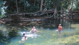 Swimming in a crystal clear rainforest creek