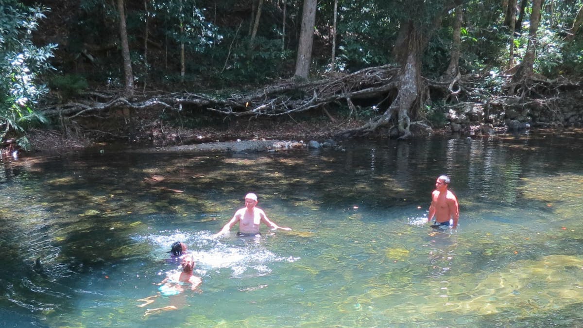Swimming in a crystal clear rainforest creek Swimming in a crystal clear rainforest creek