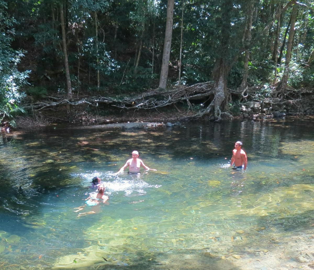 Swimming in a crystal clear rainforest creek