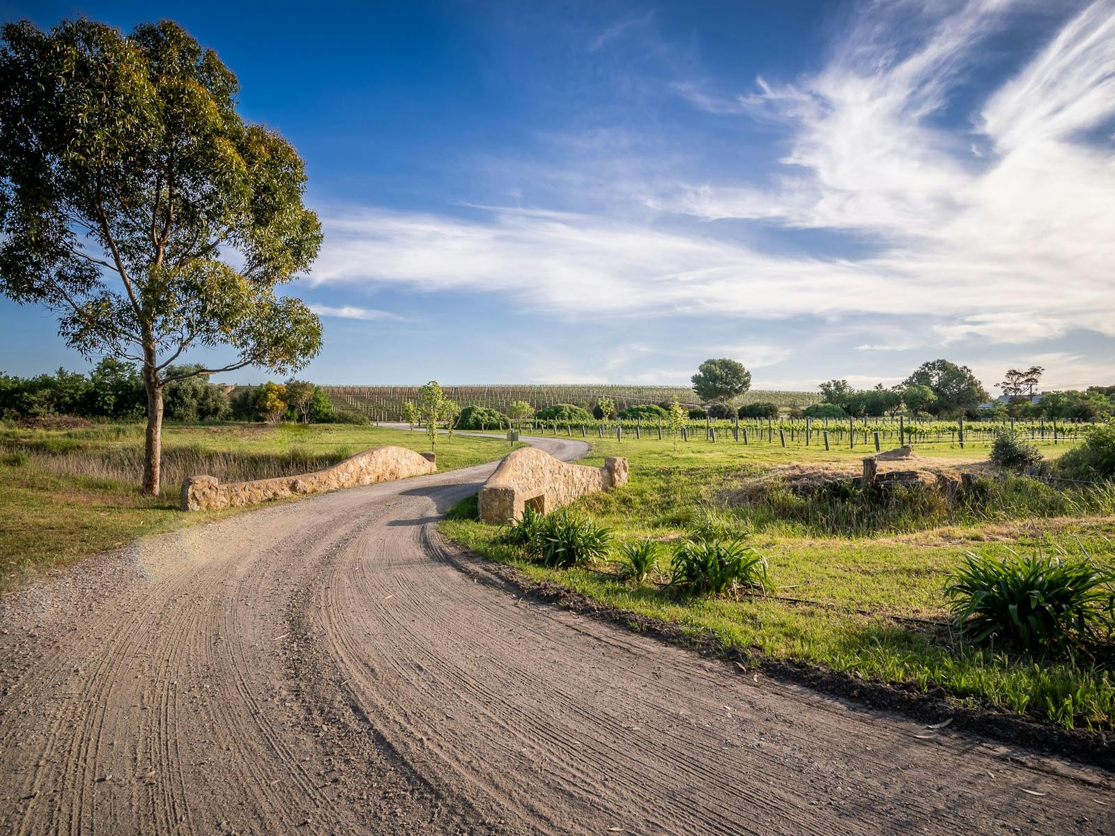 Driving into Ivybrook Farm