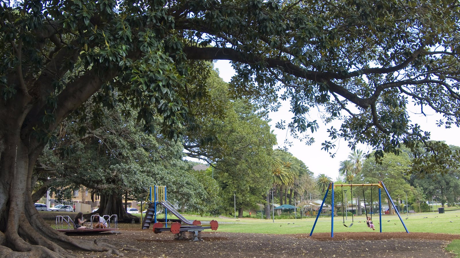 Glebe Foreshore Walk
