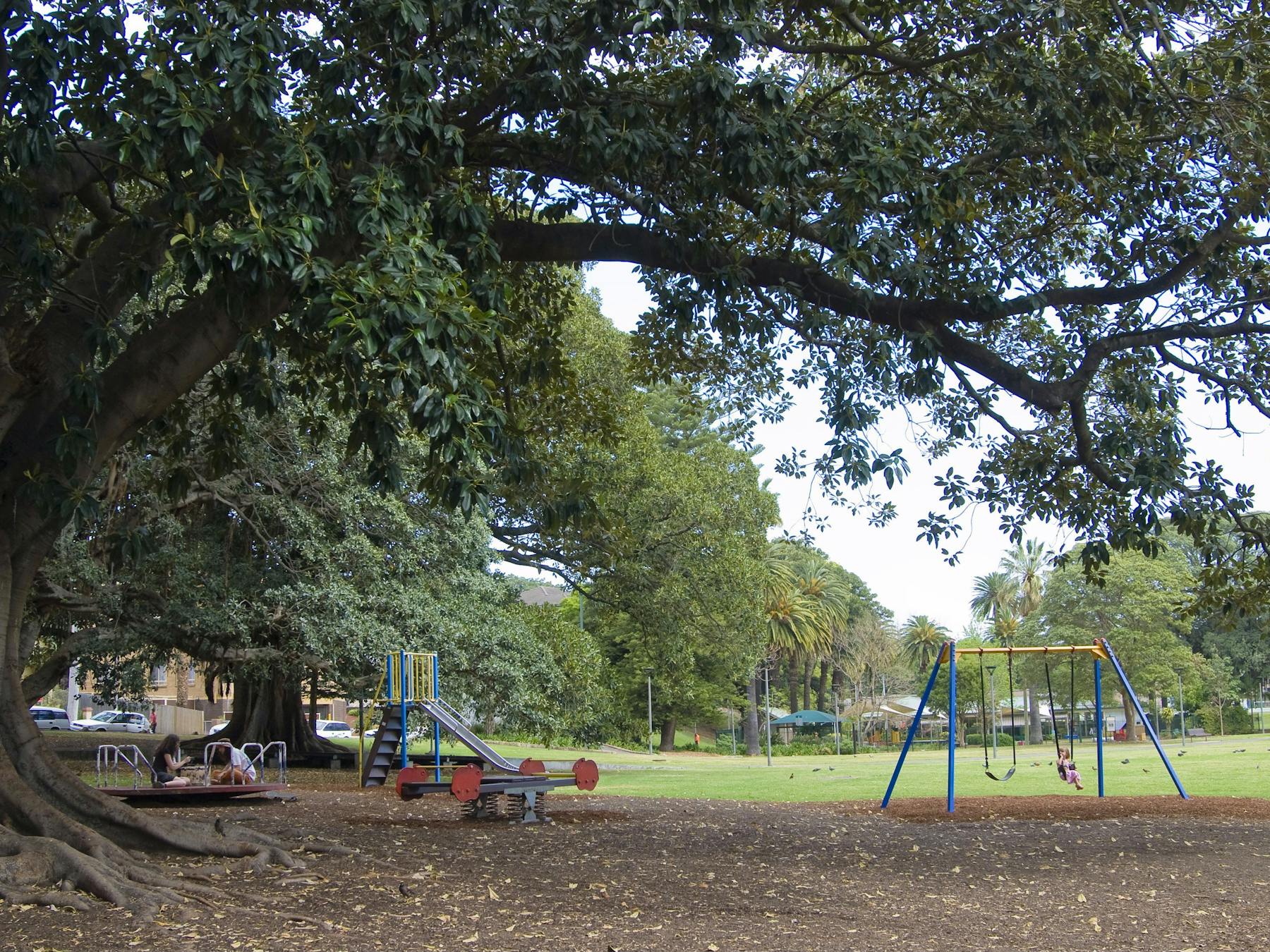 Playground at Bicentennial Park in Glebe