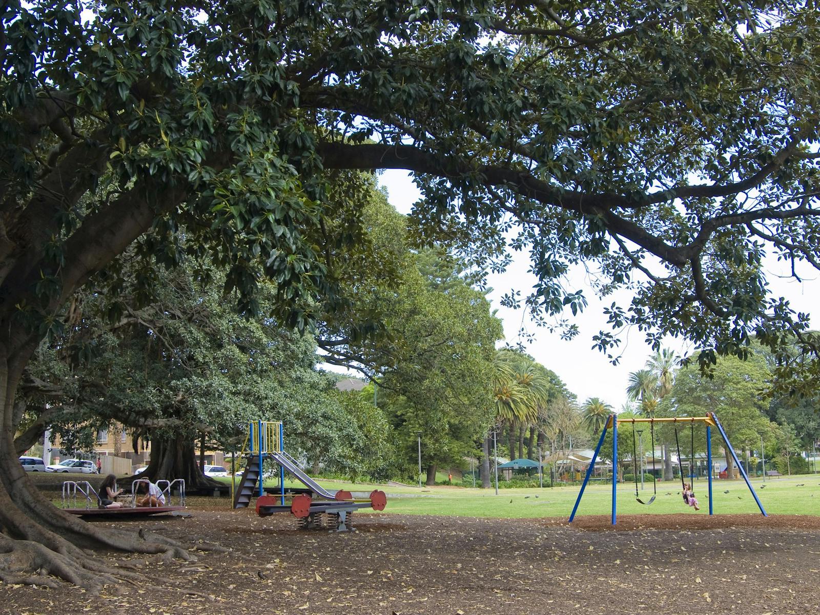 Playground at Bicentennial Park in Glebe