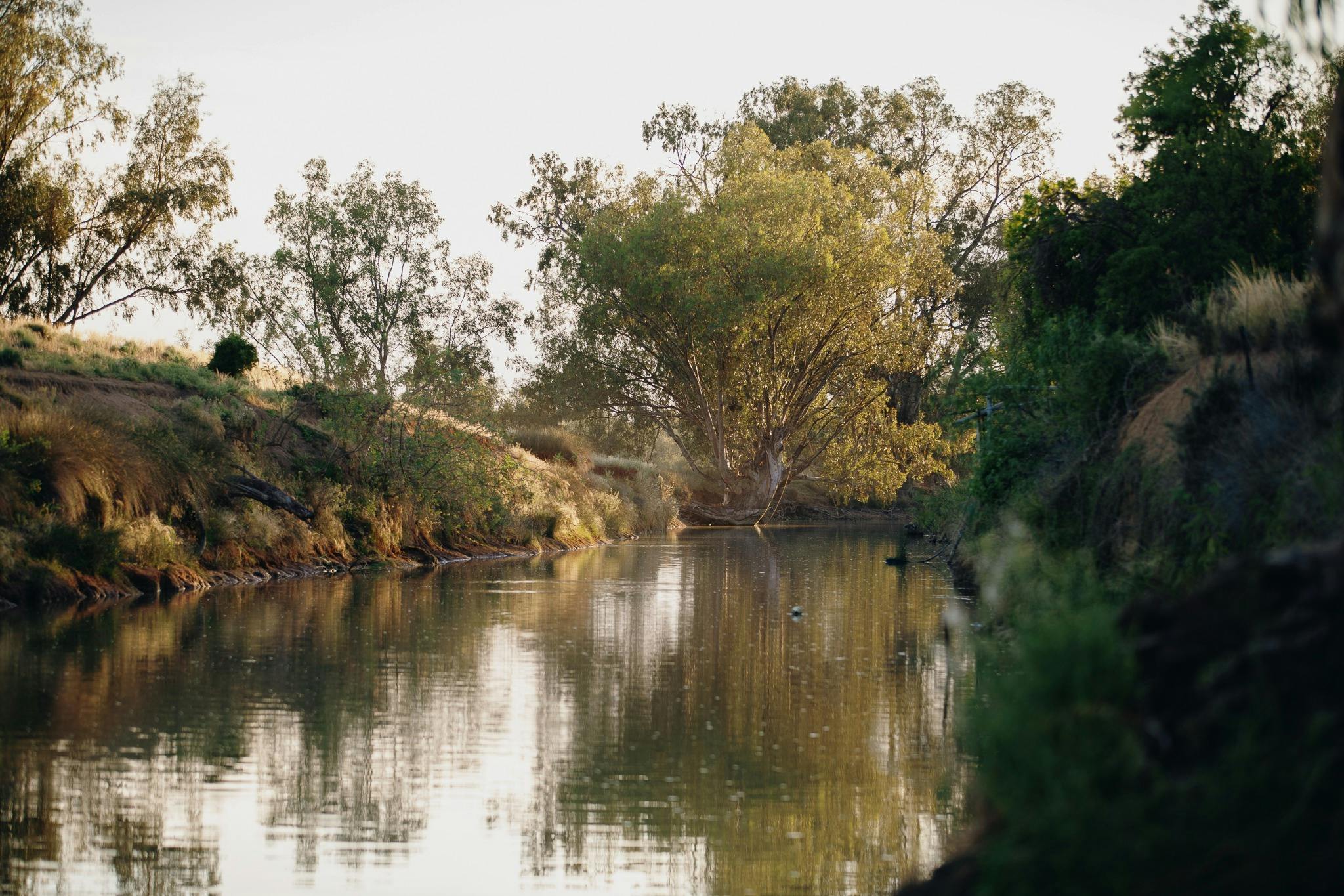 The Lachlan River