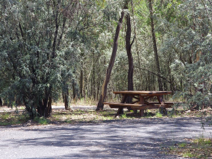 Picnic Table in Goonoowigall car park