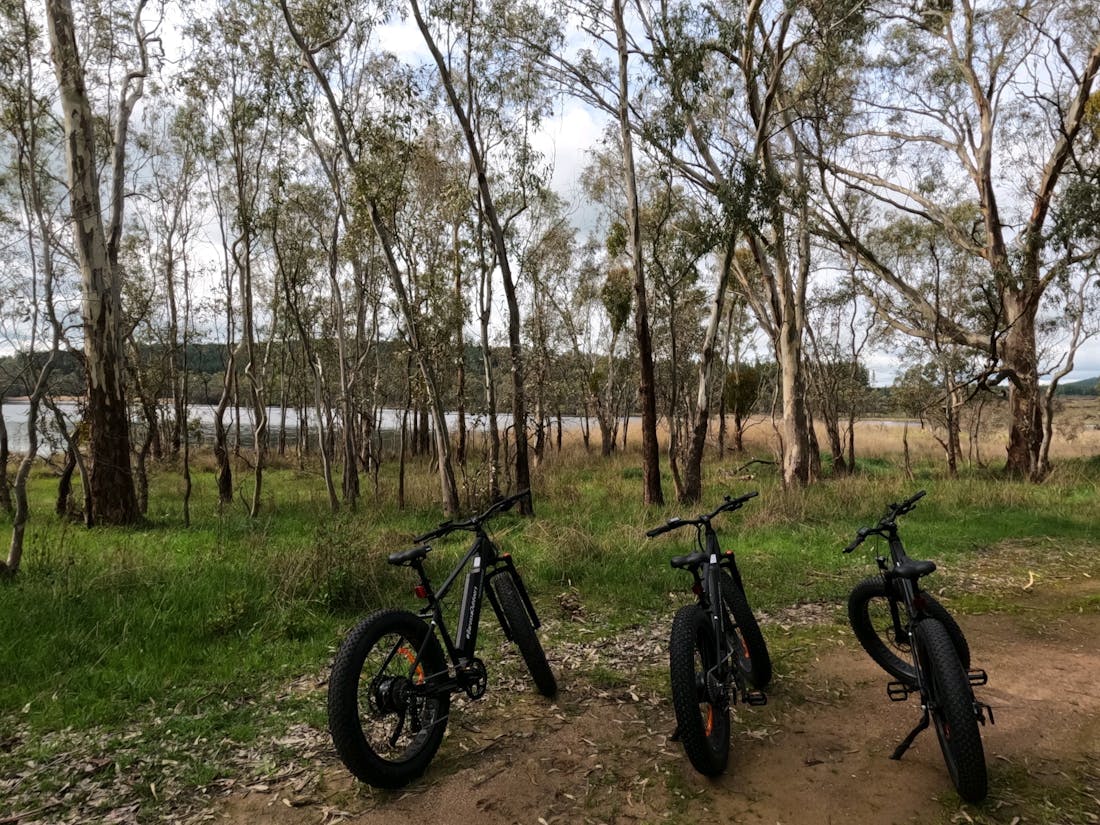 Barossa eBikes Hire & Tours Mount Crawford, Hire South Australia