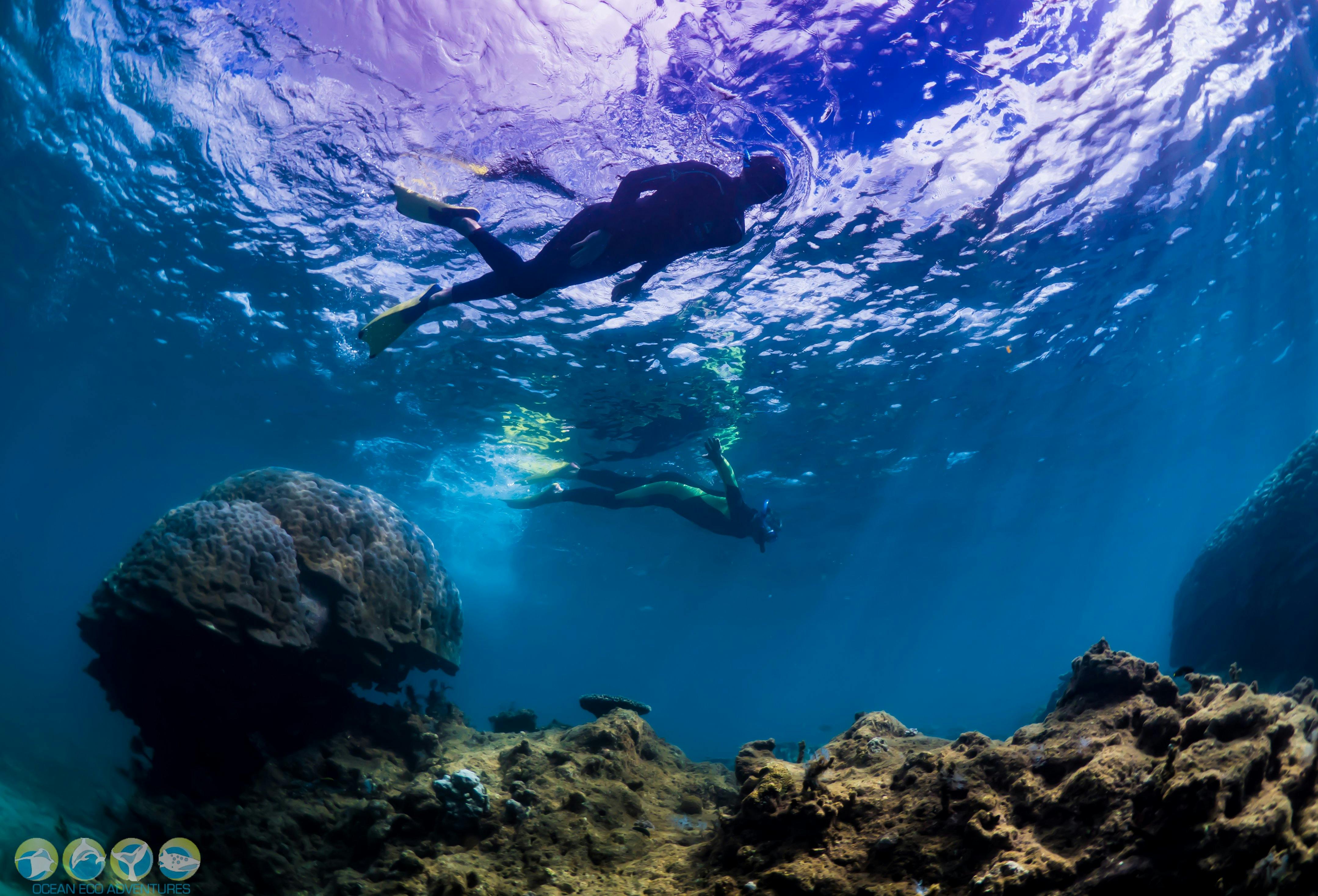 Ocean Eco Adventures, Exmouth, Western Australia