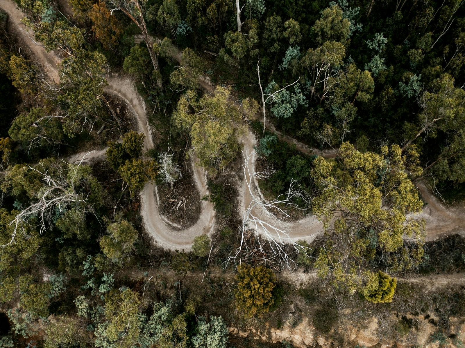 Clarence Mountain Bike Park 2