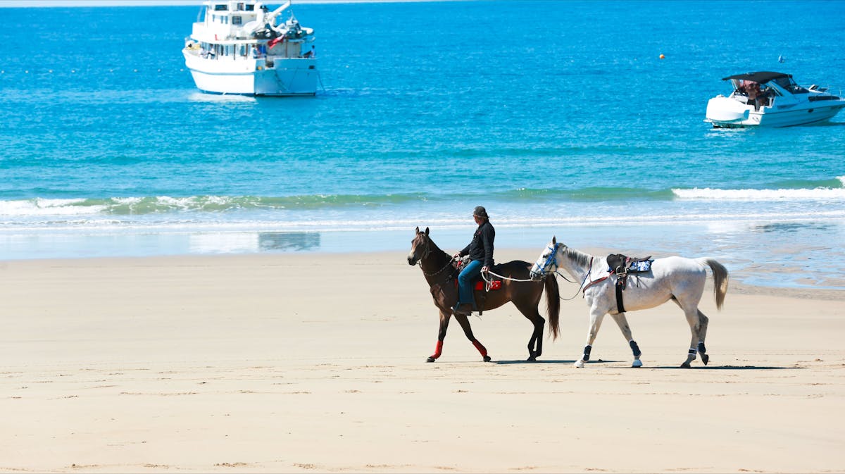 2 Horses on beach at lowtide with two boats in the background