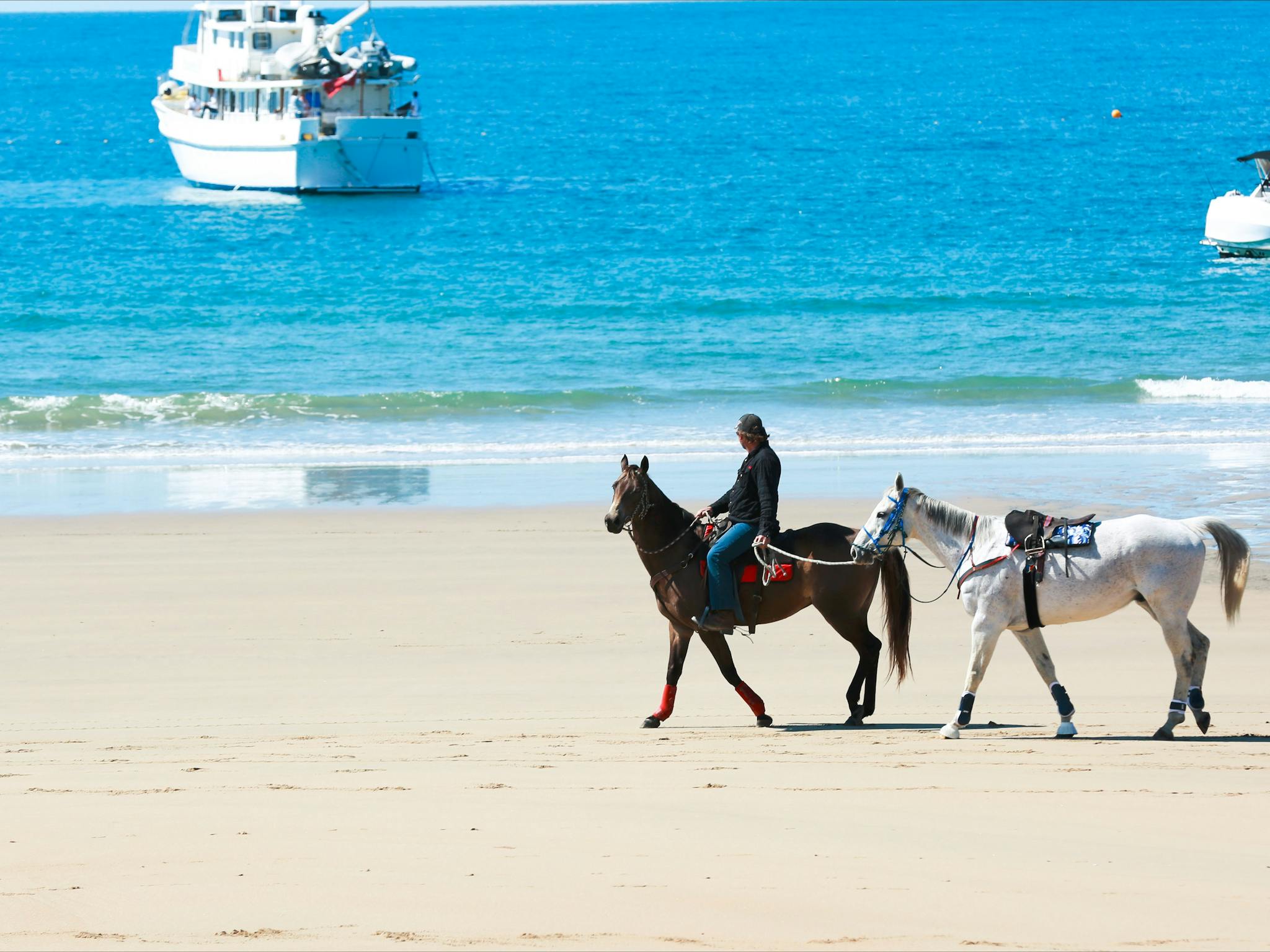 2 Horses on beach at lowtide with two boats in the background 2 Horses on beach at lowtide with two boats in the background