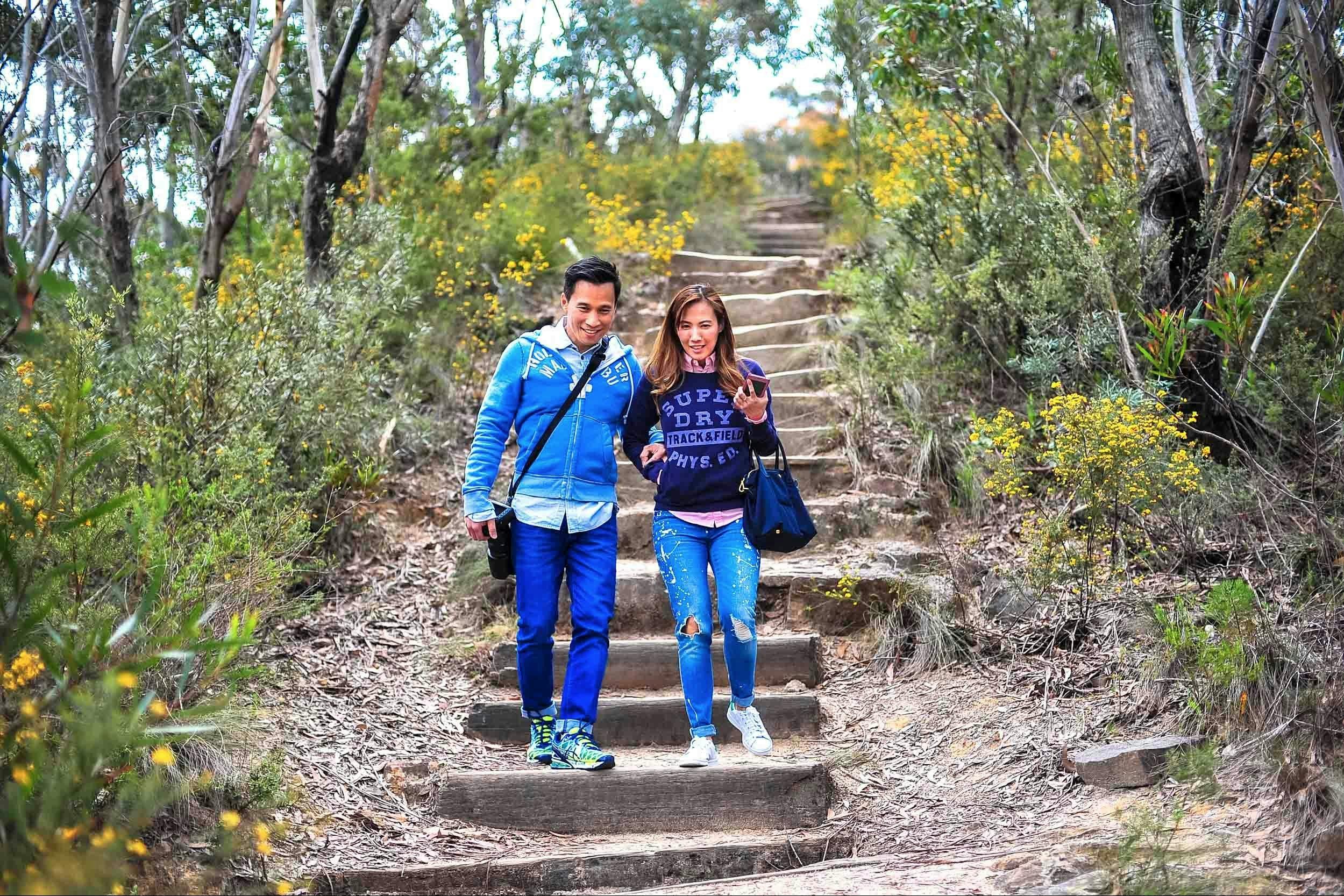 ブルーマウンテンズの野生の花を歩く