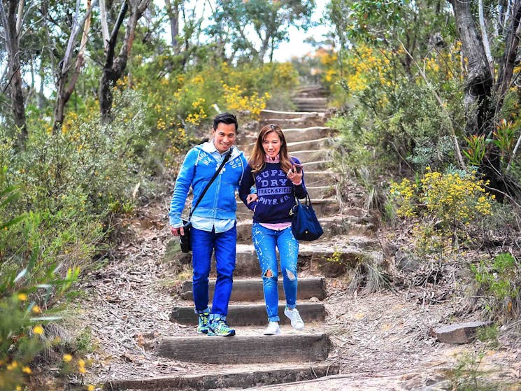 Walking through wild flowers in the Blue Mountains