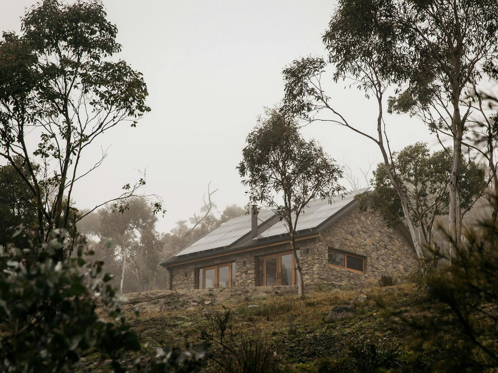 밖은 안개가 자욱하다