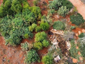 Pithi Kawi Bush Food Garden