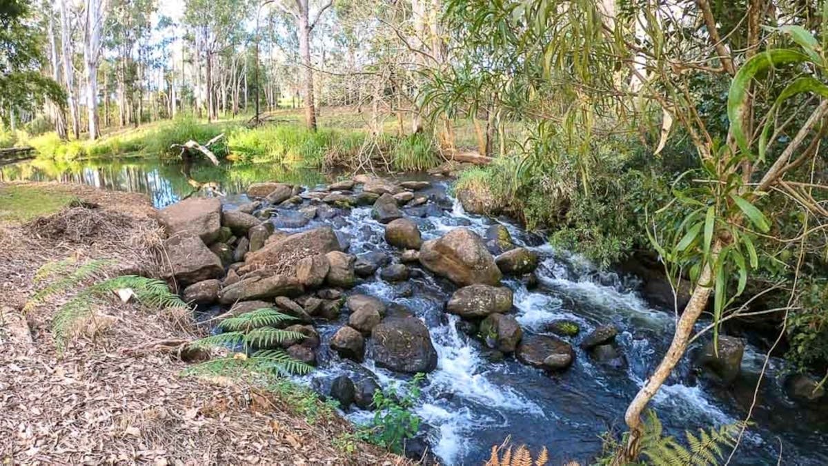 Creek at back of Tall Timbers - which as platypus swimming