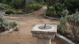 Redcliffe_Botanical_Gardens_5_moreton_bay_region