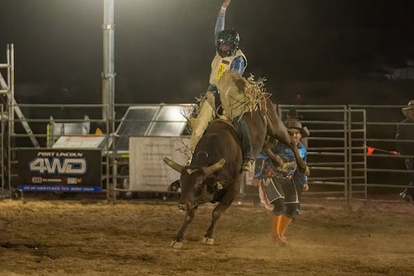 Rodeo by the Sea