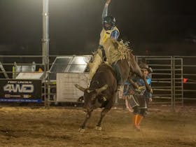 Rodeo by the Sea