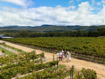 Stunning vineyard strolls at Balancing Heart Vineyard on the Granite Belt, South-East Queensland Stunning vineyard strolls at Balancing Heart Vineyard on the Granite Belt, South-East Queensland