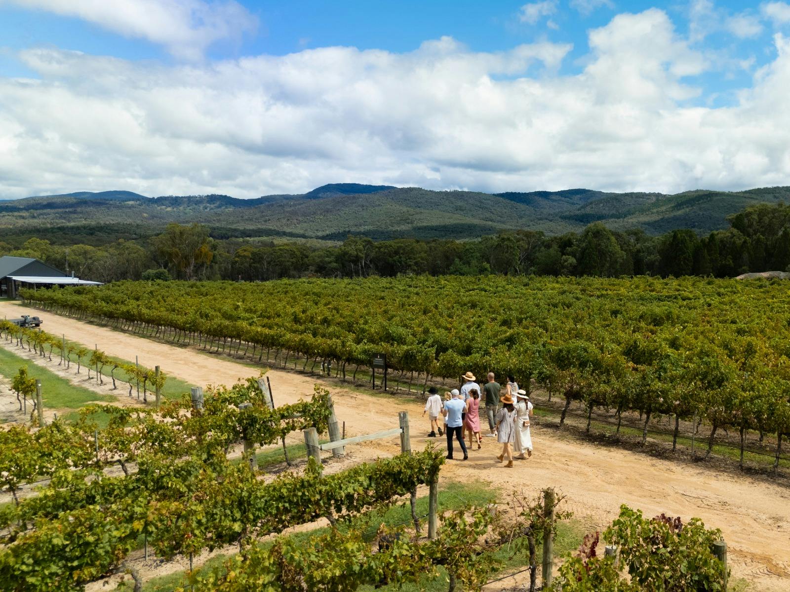 Stunning vineyard strolls at Balancing Heart Vineyard on the Granite Belt, South-East Queensland Stunning vineyard strolls at Balancing Heart Vineyard on the Granite Belt, South-East Queensland